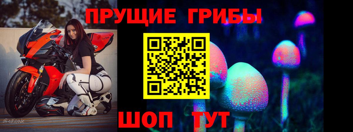 Псилоцибиновые грибы Psilocybe  Вход с VPN  Бугульма 